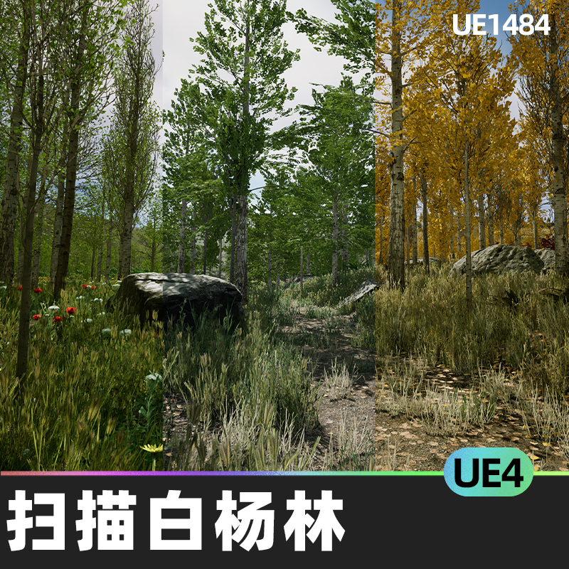 Scanned Poplar and Aspen Forest with Seasons杨树白杨林UE5UE4