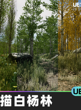 Scanned Poplar and Aspen Forest with Seasons杨树白杨林UE5UE4