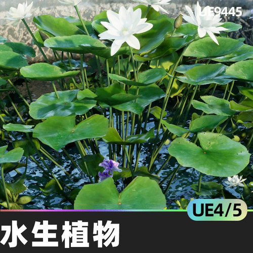 Water tank Aquatic plants水生植物4.27虚幻5.3花池UE5荷花荷叶
