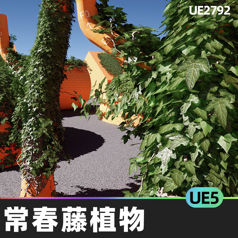 Ivy Foliage and Vines Plants Pack with Custom植物5.0虚幻UE5