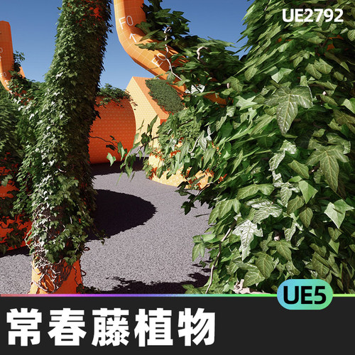 Ivy Foliage and Vines Plants Pack with Custom植物5.0虚幻UE5