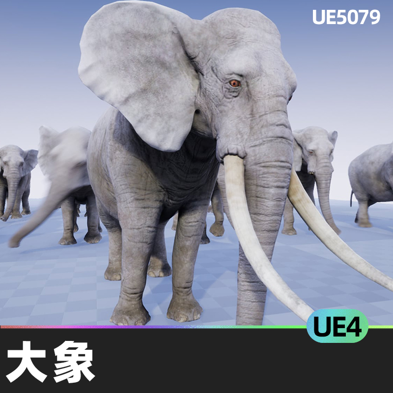 ELEPHANT大象UE4人物角色虚幻引擎稀树草原环境低聚根部运动肌理