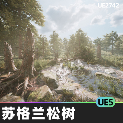 Scots Pine Tree Pack苏格兰松树5.0虚幻UE5环境道具幻想低聚森林
