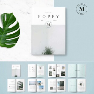 清新文艺刊物封面杂志画册宣传内页排版indesign模板设计素材F323