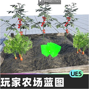 Player Farming System农场玩家农业植物生长种植蓝图虚幻引擎UE5
