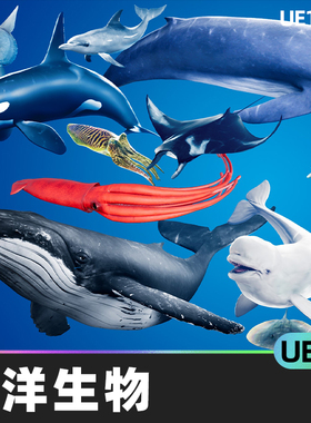 Ocean Animals MEGA Pack海洋动物巨型动画蓝图角色NPC鲸鱼UE4UE5