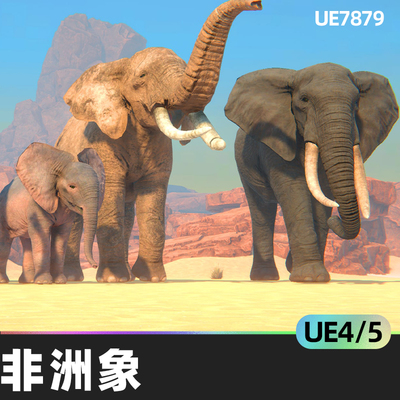 African Elephants非洲象4.27虚幻UE5哺乳动物生物低多边形大象