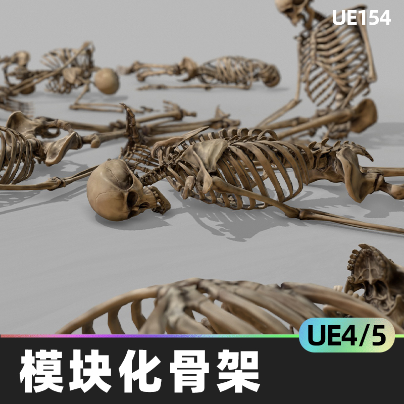 Modular Human Skeleton模块化人体骨架UE虚幻5解剖骨头游戏道具