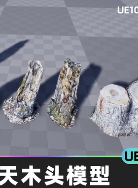 Stump Scanned 冬天木头树桩朽木枯木虚拟素材模型5.4虚幻引擎UE5