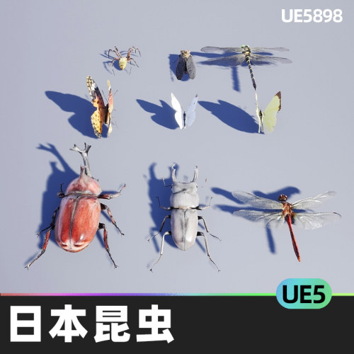 Japanese Insect Pack日本昆虫UE5虚幻引擎人物角色昆虫蜻蜓蜘蛛