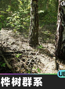 MW Paper Birch Trees Forest Biome白桦树森林生物群系UE5.1岩石