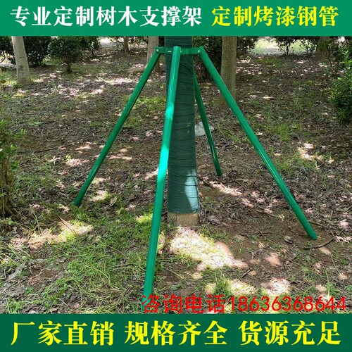 防风支架镀锌钢管树木支撑架大树固定支架园林绿化树木支撑杆 - 封面