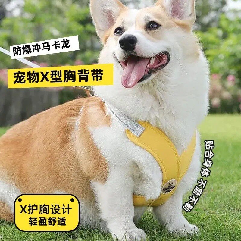 【防爆冲】新款宠物牵引绳背心式狗狗胸背带反光牵引绳宠物H900