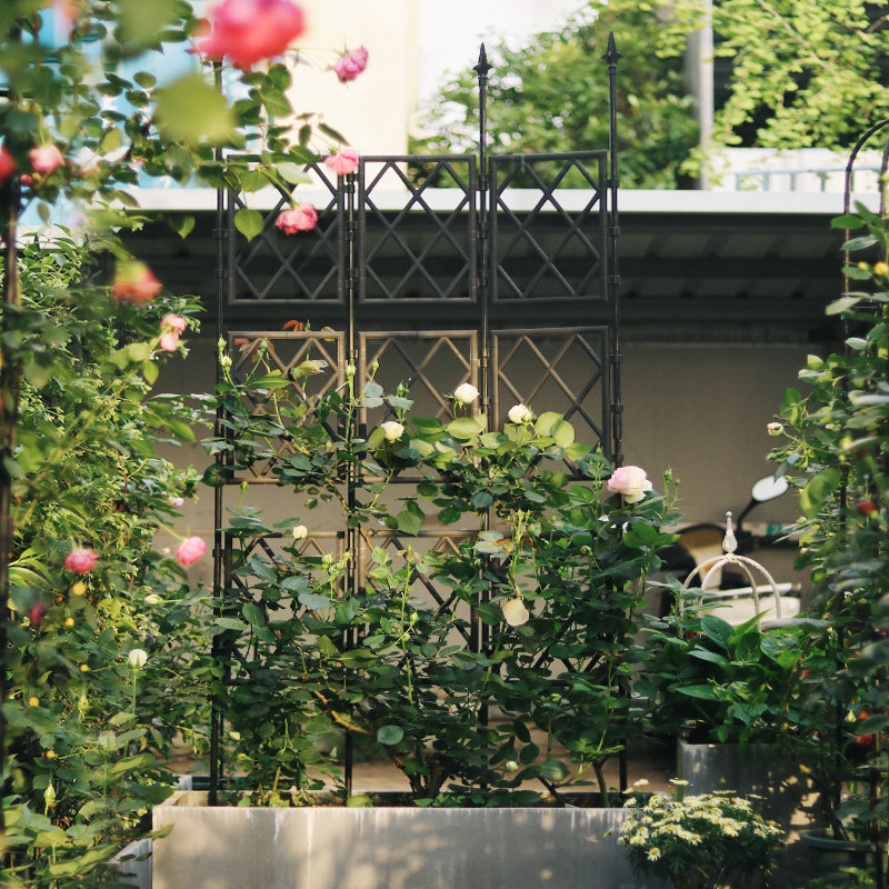 欧式铁艺花架隔断植物爬藤架铁线莲阳台月季花支架子户外花墙网格