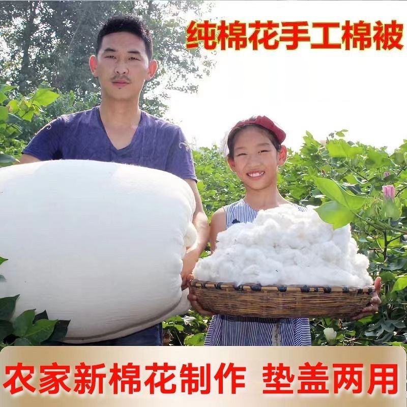 棉被棉絮冬被100%里外全棉被芯冬季加厚保暖纯棉花被子棉胎絮垫被,床上用品,棉花被,淘宝优惠券,粉丝福利购,淘宝优惠卷