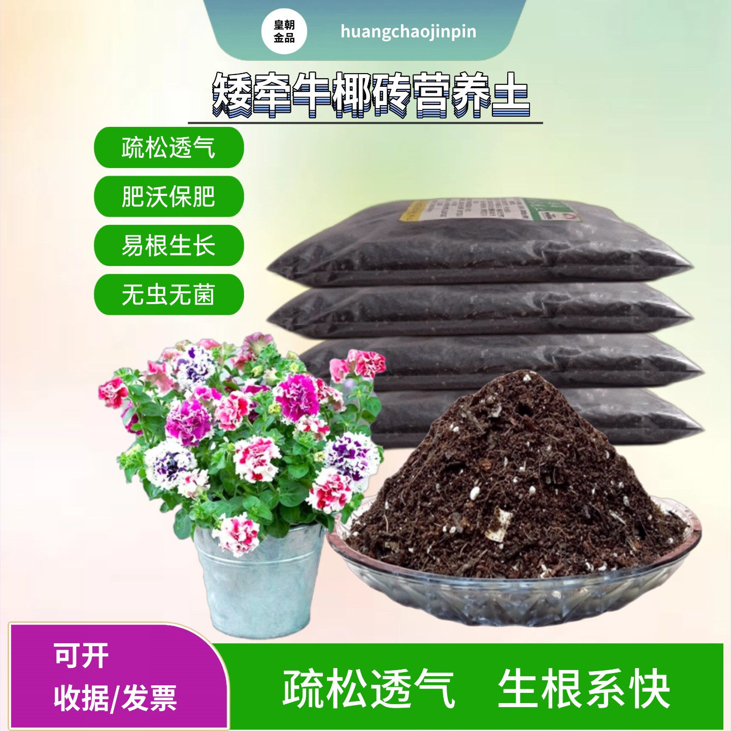 矮牵牛花重瓣盆栽疏松椰砖营养土