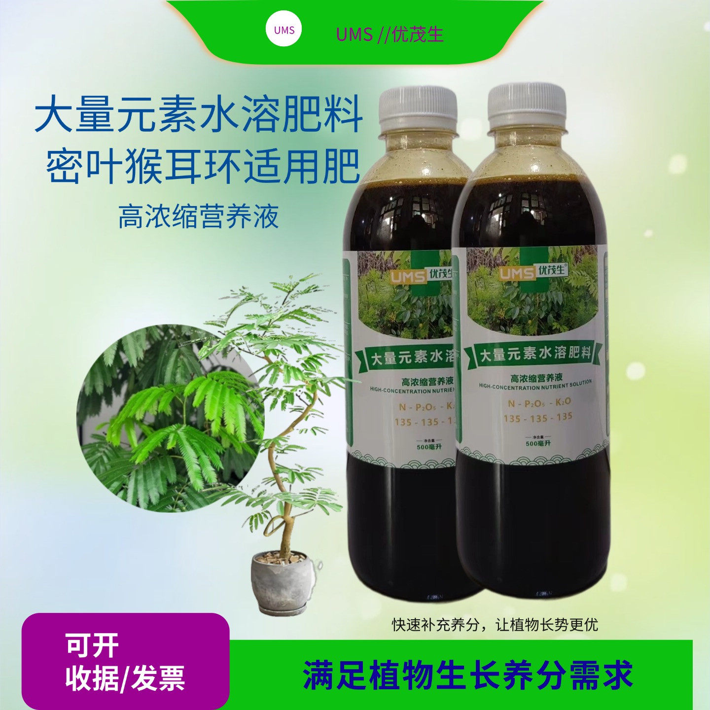 密叶猴耳环盆景绿植物喷施水溶肥