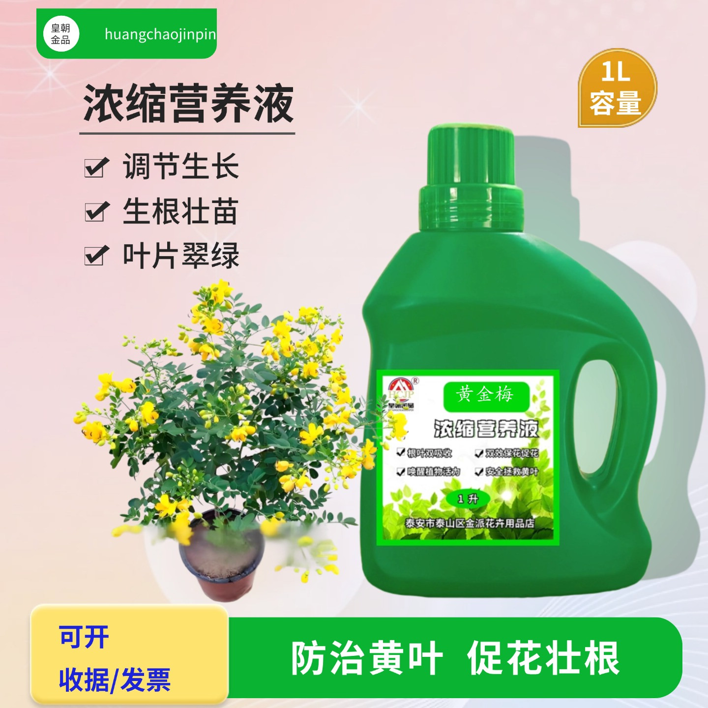 黄金梅树浓缩营养液水溶养花肥料