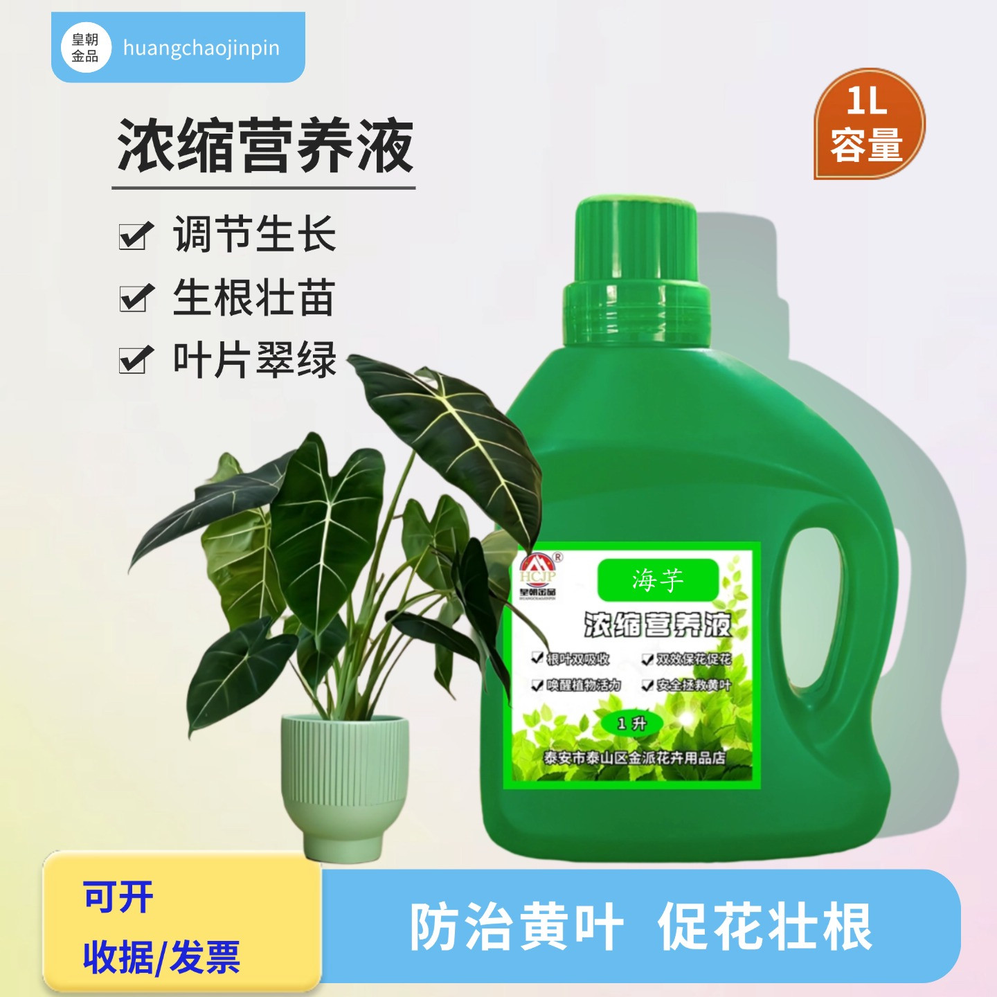 海芋天鹅绒浓缩营养液水溶养花肥