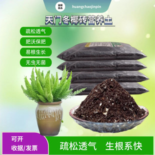 狐尾天门冬武竹盆栽椰砖营养土专用室内花卉绿植物疏松育苗种植土