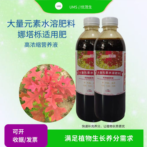 娜塔栎树苗浓缩水溶肥养根促长