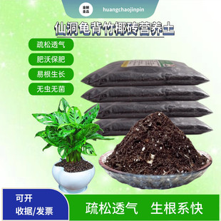 仙洞龟背竹白锦龟背竹疏松椰砖营养土专用室内客厅绿植通用种植土