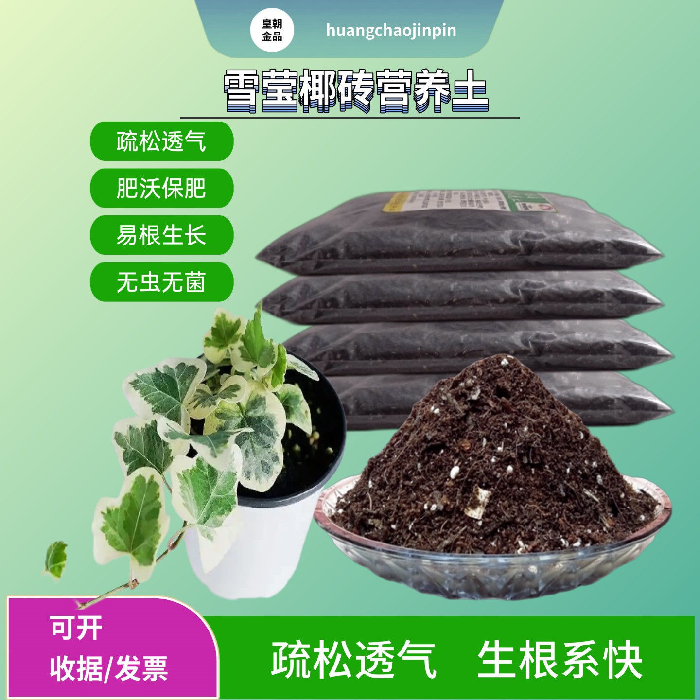 雪莹常春藤盆栽椰砖营养土专用室内外阳台吊篮绿植疏松透气种植土