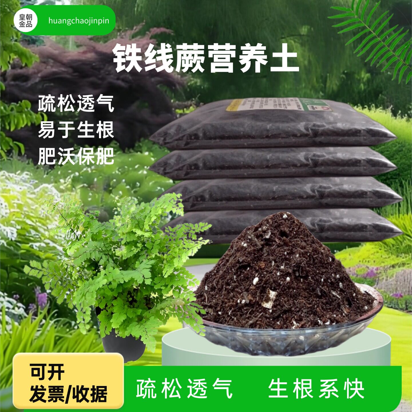 铁线蕨盆栽营养土铁丝草室内桌面观叶绿植疏松育苗移栽专用种植土