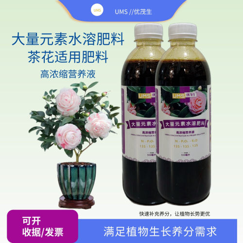 茶花营养液室内盆景水溶肥喷施