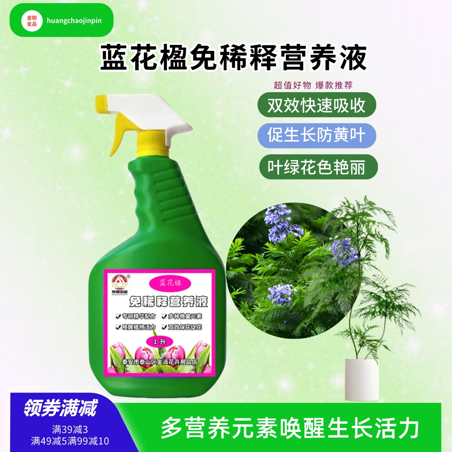 蓝花楹室内外绿植喷施叶面养花肥