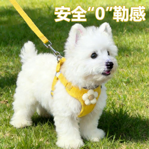 背心式狗狗牵引绳遛狗胸背中小型犬背带拴狗绳幼犬柯基宠物狗链子