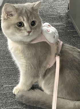 猫咪牵引绳可爱兔子胸背防挣脱工字型遛猫绳狗狗放走丢背心式猫链