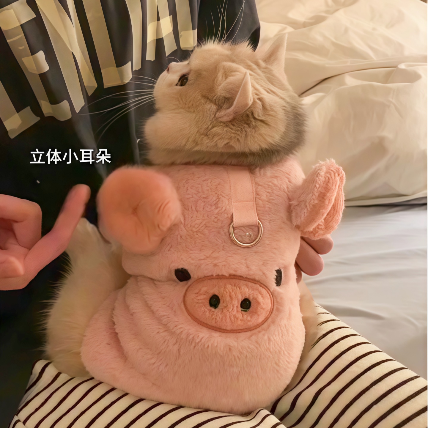 小猪宠物猫咪衣服冬季加厚保暖背心可牵引幼猫小型犬狗狗可爱马甲