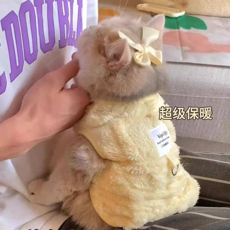 宠物猫咪衣服秋冬款2025新款英短银渐层布偶猫德文防掉毛加绒马甲
