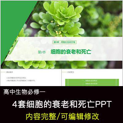高中生物教育课件 细胞的衰老和死亡 PPT模板成品公开课幻灯片