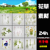 C4D模型设计15组野外景观草长茎花草植物绿植3D场景渲染素材 Z005