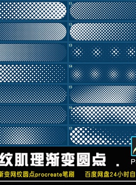 procreate笔刷PS彩色网纹半调圆点格点线条肌理笔触手绘素材P4002