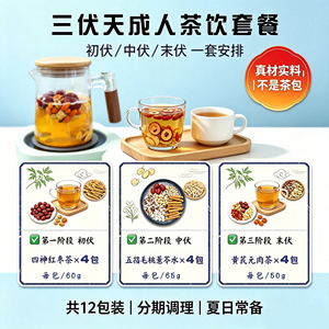 成人三伏天养生茶12包