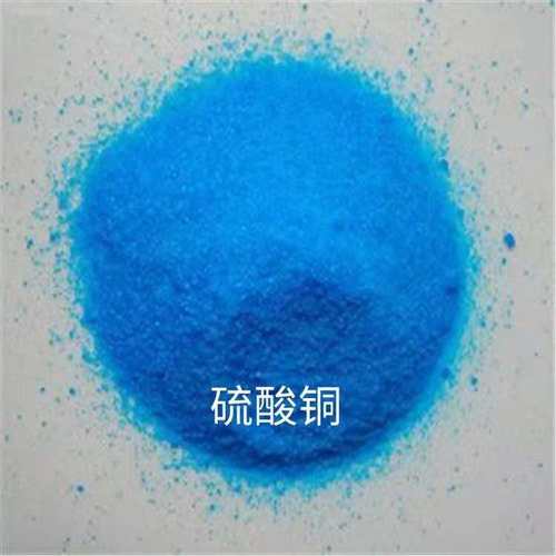 硫酸铜游泳池除藻青苔水处理蓝矾