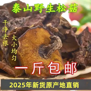 山东泰安新泰特产子松菇新鲜松蘑干野生菌丁莪子泰山干货龙庭蛾子