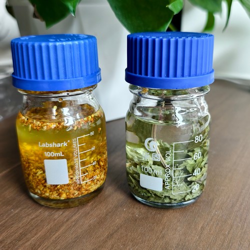 玻璃瓶酊剂瓶磨口透明磨砂口试剂瓶化学瓶大口瓶分装瓶带盖密封瓶