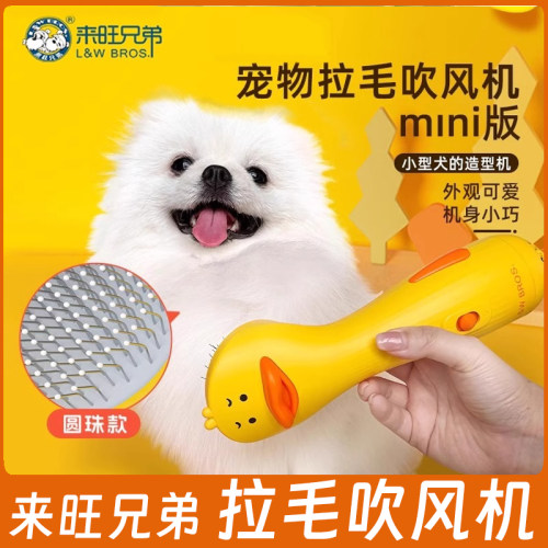 来旺兄弟猫狗吹风拉毛吹风机