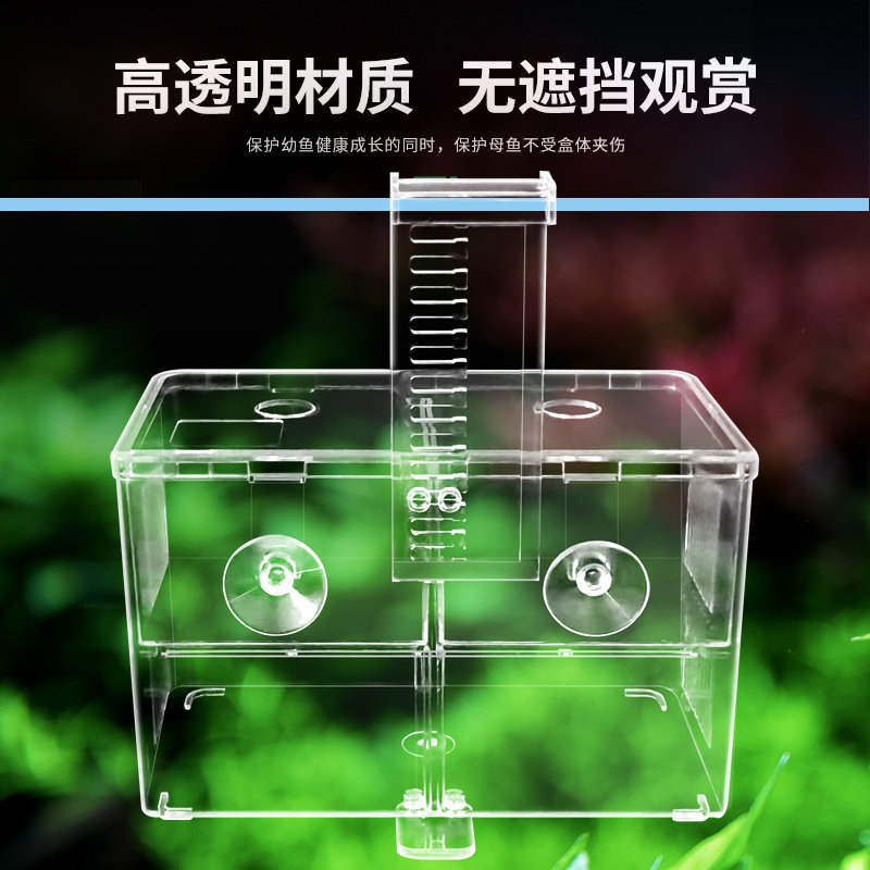 鱼缸孵化盒隔离盒挂钩式孔雀鱼繁殖盒热带鱼产卵孵化产房鱼苗幼鱼图片