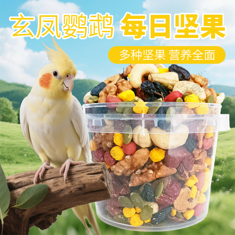 玄凤鹦鹉每日坚果腰果核桃仁黑加仑南瓜籽中大型鸟宠美毛亮羽零食