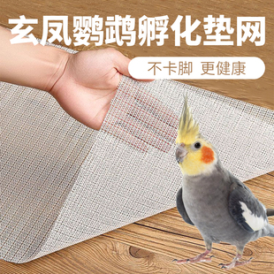 玄凤鹦鹉鸟笼底部网脚垫保温箱底板垫网育雏孵化雏鸟幼鸟裁剪网垫