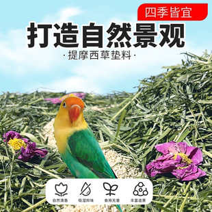 鹦鹉提草垫料小鸟专用雏鸟睡窝绿色舒适无尘清新天然草垫鸟用垫料