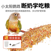 小太阳鹦鹉断奶学吃粮幼鸟雏鸟营养粮去皮谷子混合粮坚果果蔬鸟粮