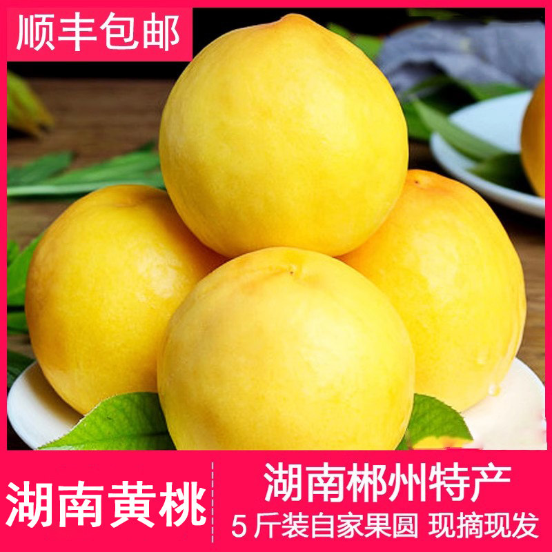 湖南汝城文明黄桃新鲜孕妇水果