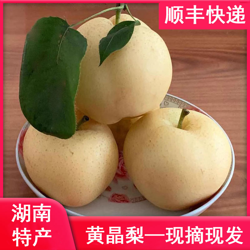 黄晶梨新鲜孕妇水果10斤