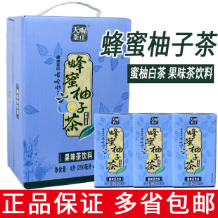 天喔茶莊蜂蜜柚子茶250ml蜜柚白茶果味口味飲品網紅茶飲整箱盒裝